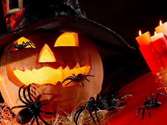 Pavouci mohou být i sušenkoví, na Halloween je vše dovoleno (Zdroj: Depositphotos (https://cz.depositphotos.com))