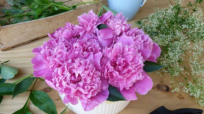 Jak uspořádat květiny do široké mísy či vázy 7