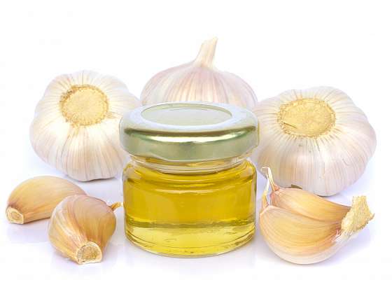 Česnek a med nejsou jen k jídlu, mohou i léčit (Zdroj: Depositphotos (https://cz.depositphotos.com))