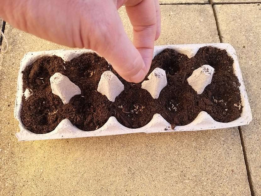 Naplňte zeminou a vysejte semínka