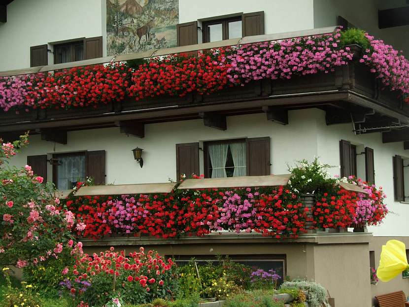 Rozkvetlé balkony