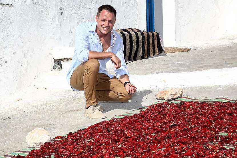 Jan Kříž navrhoval hračky. Dnes pečuje hlavně o vinnou révu