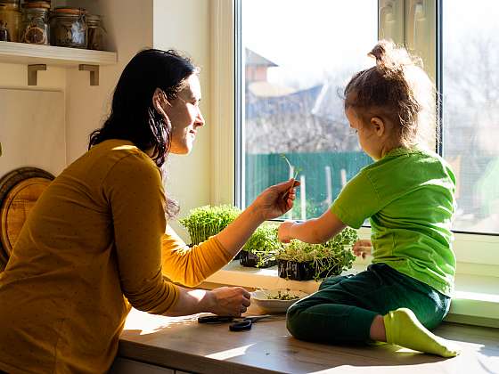 Zeleninu a bylinky pěstujte na okenním parapetu. A můžete zapojit i děti (Zdroj: Depositphotos (https://cz.depositphotos.com))