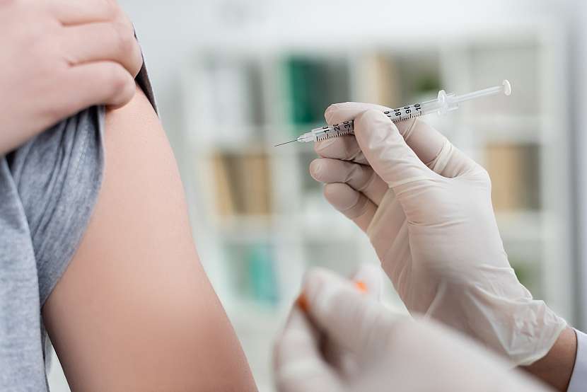 Očkování je zásadní prevencí před klíšťaty, nepodceňujte je
