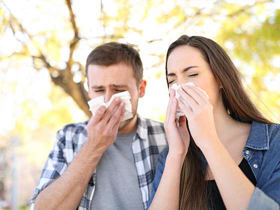 Pylová alergie si nevybírá. Také patříte mezi alergiky? (Zdroj: Depositphotos (https://cz.depositphotos.com))