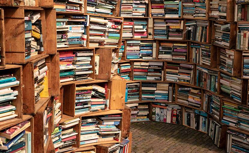 Pokud knihy nechcete nikam nosit, Knihobot si pro ně zdarma přijede kdekoliv po republice