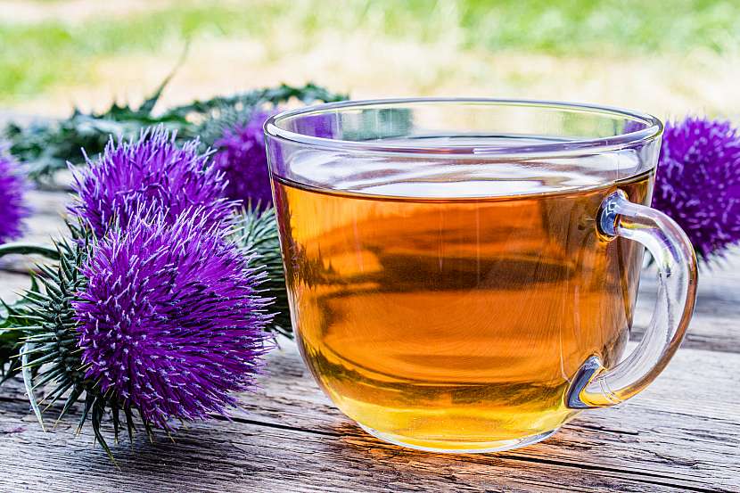 Čaj ze semen ostropestřce vám dokonale detoxikuje tělo