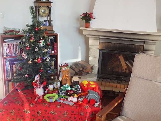 Jak tráví Vánoce vaši domácí mazlíčci? (Zdroj: Prima DOMA MEDIA, s.r.o.)