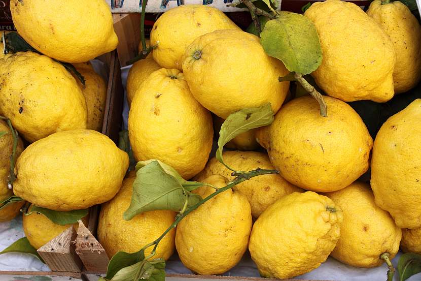 Na chutné limoncello potřebujete především citrony bez chemického ošetření