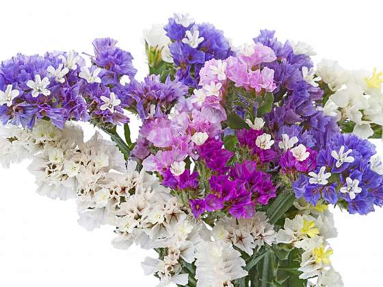 Kytice z několika druhů květin, vhodných k sušení (Zdroj: Depositphotos)