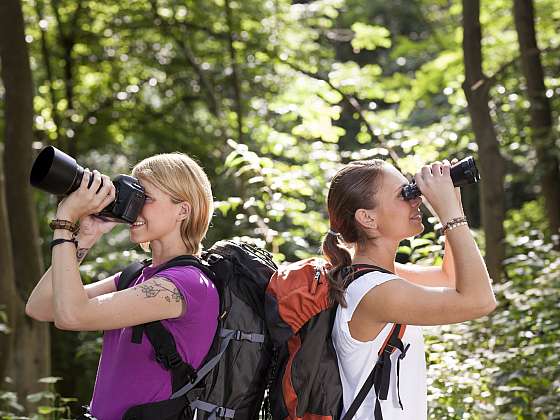 Birdwatching je skvělým koníčkem, který vás může motivovat k různým výletům (Zdroj:Depositphotos (https://cz.depositphotos.com))