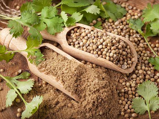 Aromatická semena jsou zdrojem zdraví i chuti (Zdroj: Depositphotos (https://cz.depositphotos.com))