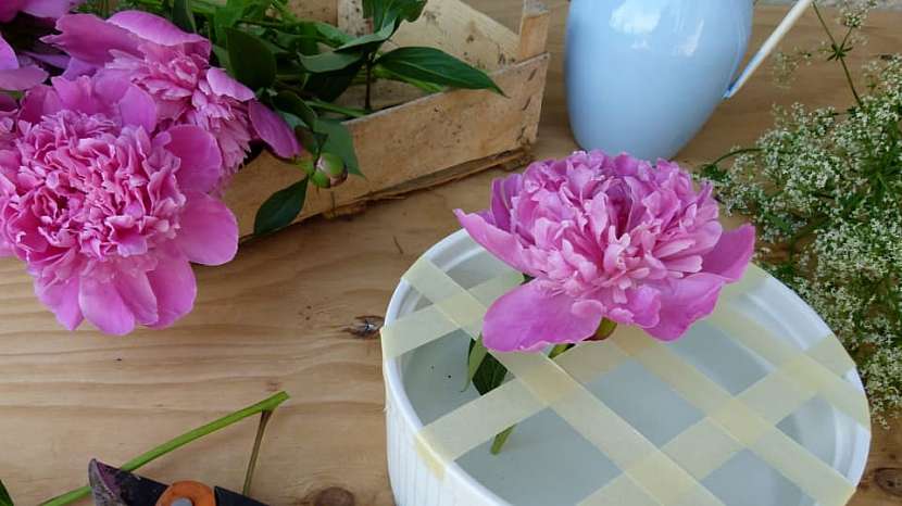 Jak uspořádat květiny do široké mísy či vázy 6