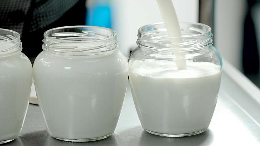 Směs jogurtu a mléka nalijte do důkladně vymytých, nejlépe sterilizovaných sklenic