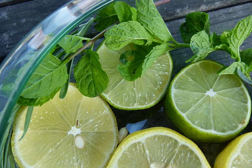 Dekorační miska s citrusy: přidejte mátu a levanduli