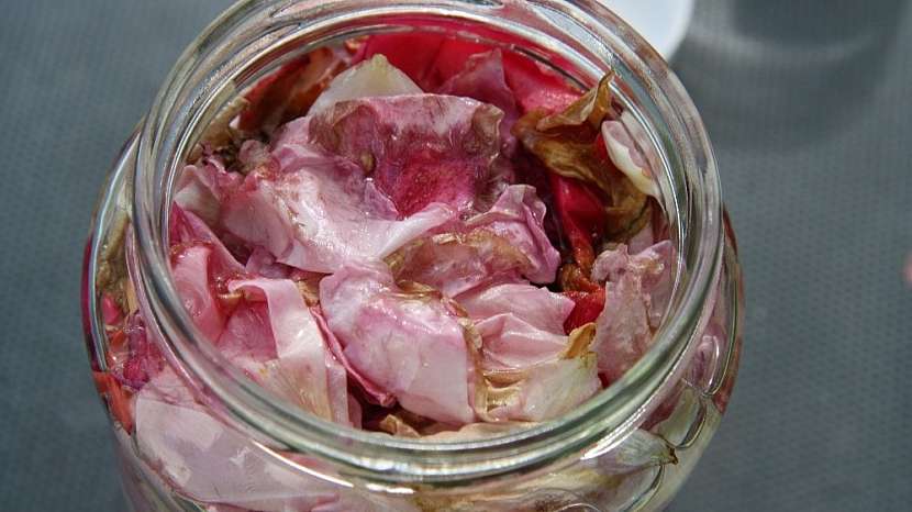Domácí růžový olejíček pro krásu a zdraví: macerování