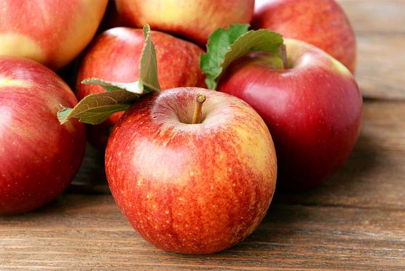Kam na výlet: Jablka a jablečné speciality můžete 5