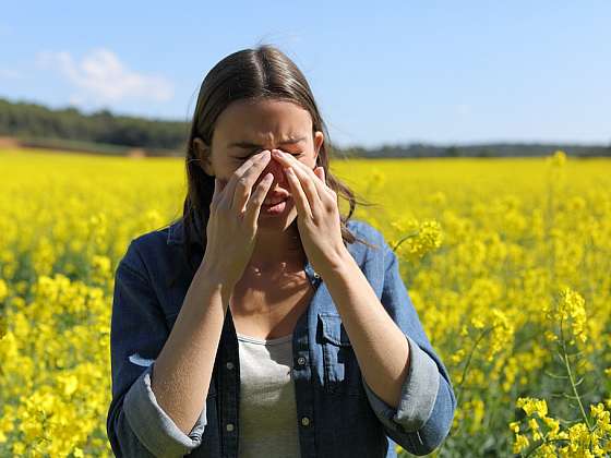 Jarní pyl a oči: Proč víčka svědí, pálí a otékají?