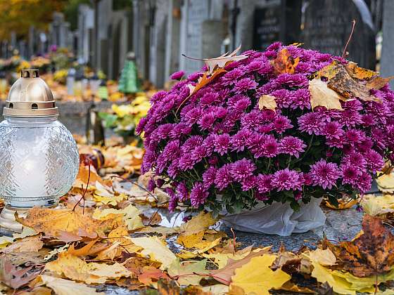 Hroby se spadaným listím vypadají romanticky, ale z praktického pohledu se ho raději zbavte