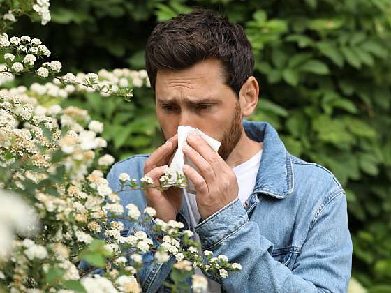 Sezónní alergie jsou problémem trápícím až 30 % populace