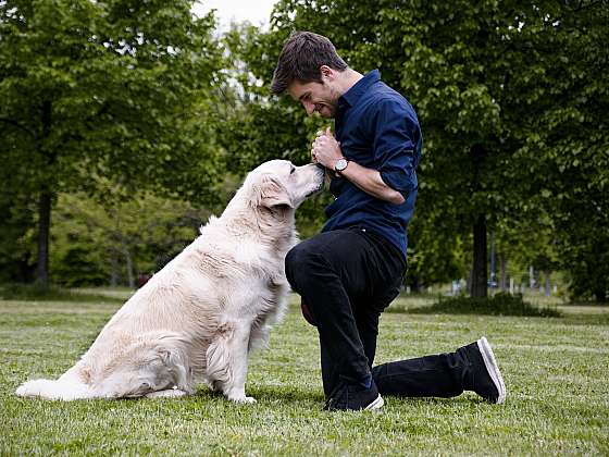 Trénink psů probíhá formou hry a odměnou jsou psovi pamlsky (Zdroj: Pedigree)