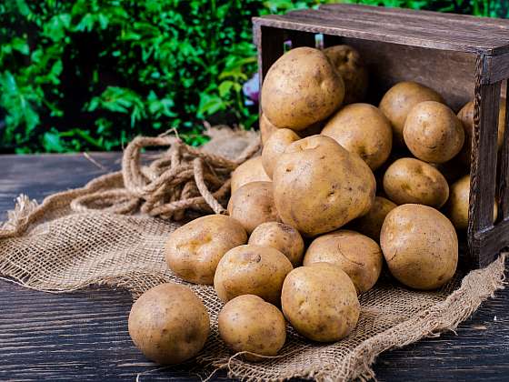 Slupky od brambor nejsou pouze odpad (Zdroj: Depositphotos (https://cz.depositphotos.com))