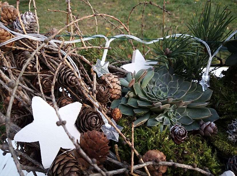 Na mech a větvičky přilepíme tavnou lepicí pistolí bílé dřevěné hvězdy