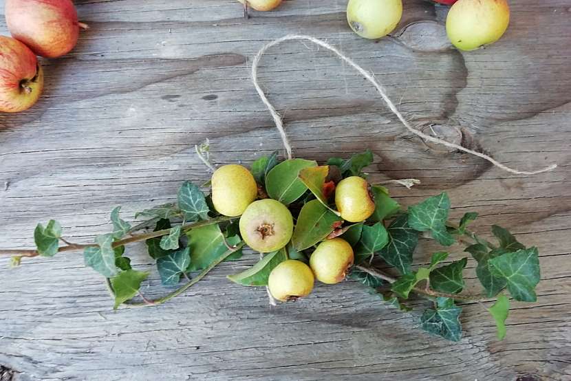 Podzimní věnec z malých jablíček: vytvořte ozdobu