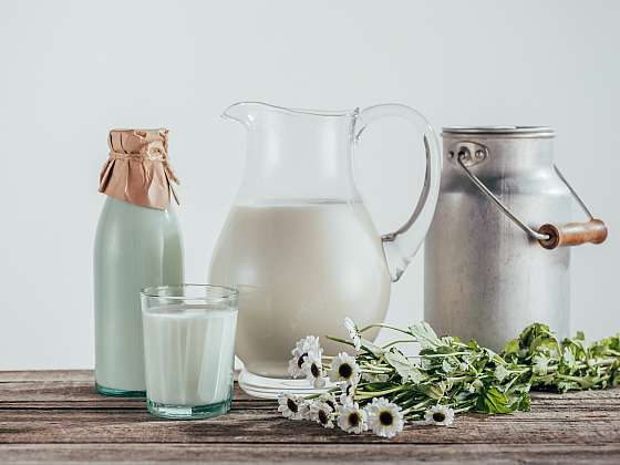 Škodí nám mléko nebo prospívá? (Zdroj: Depositphotos (https://cz.depositphotos.com))