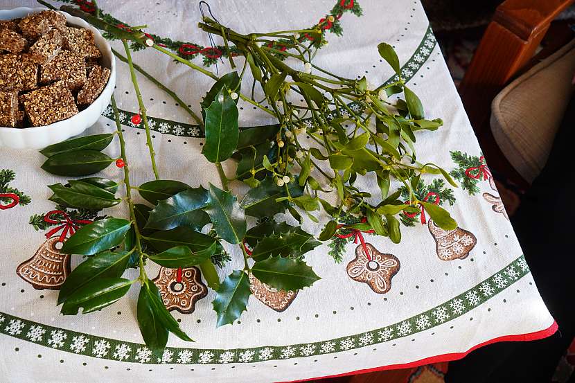 Pozor na vánoční dekorace a rostliny, některé jsou jedovaté