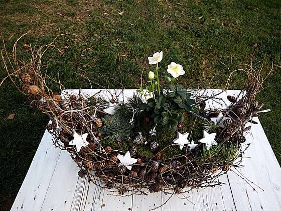 DIY exteriérové aranžmá z modřínových větviček s čemeřicí bílou