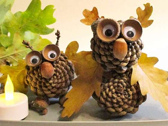 Vyrobte si roztomilou podzimní dekoraci z borových šišek (Zdroj: Kateřina Poslušná)