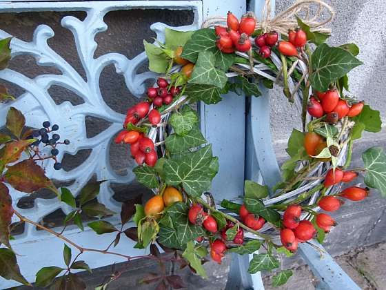 Vyrobte si podzimní dekoraci, krásný věneček se šípky (Zdroj: Simona Sedláčková)
