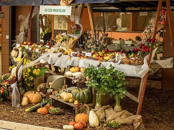 Podzimní Flora Olomouc se uskuteční. Dbá na zábavu i bezpečnost návštěvníků