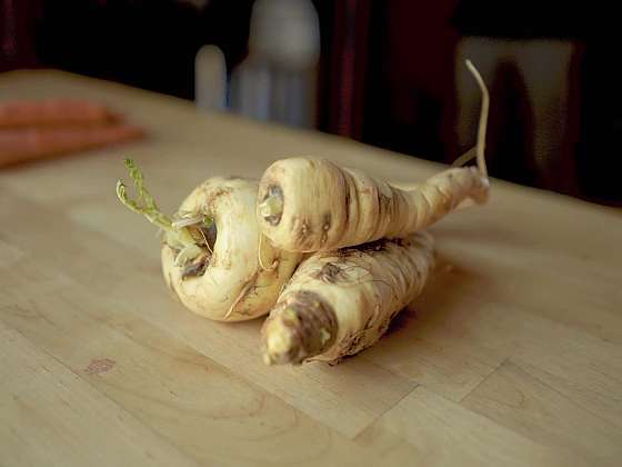 Petržel nebo pastinák