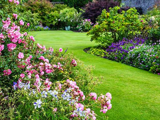 Keře pro vaši okrasnou zahradu