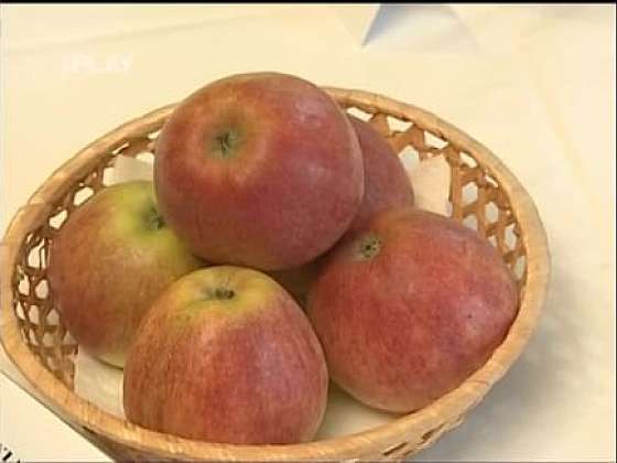 Nové zimní odrůdy jabloní