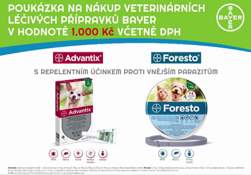 V dnešní soutěži můžete vyhrát poukaz na nákup veterinárních léčivých přípravků Bayer (Zdroj: Prima DOMA)