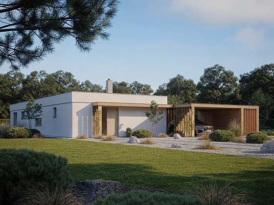 Emoce a rozum v perfektním spojení