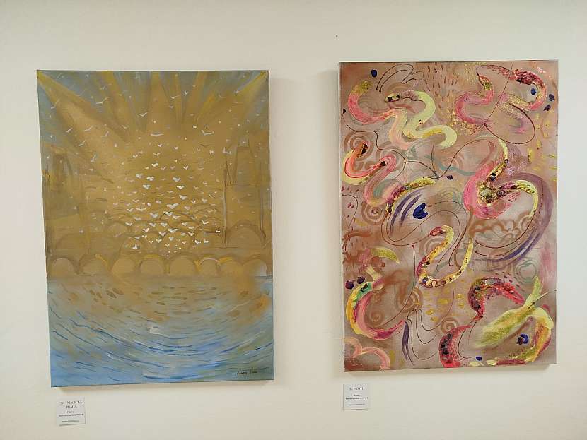 Galerie vznikla přímo na chodbě Domova pro seniory na Chodově