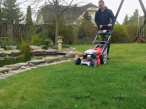 Pravidelné sečení trávníku vám zajistí hustou travnatou plochu. Víte, kdy je nejlepší čas sekat? 