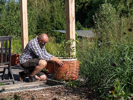 Teplomilné rostliny na balkóně