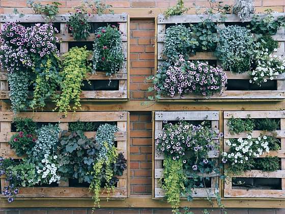 Vertikální zahrada z palet – udělejte si ji také