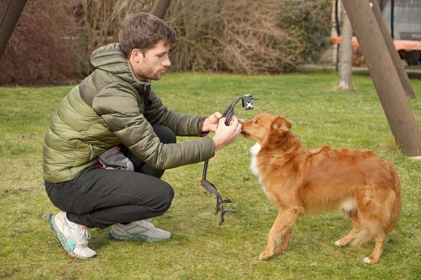 Vyznáte se v pomůckách pro moderní trénink psa?