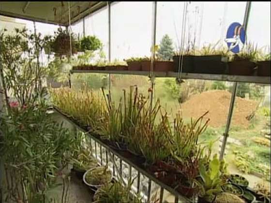 Systém závěsné police pro rostliny