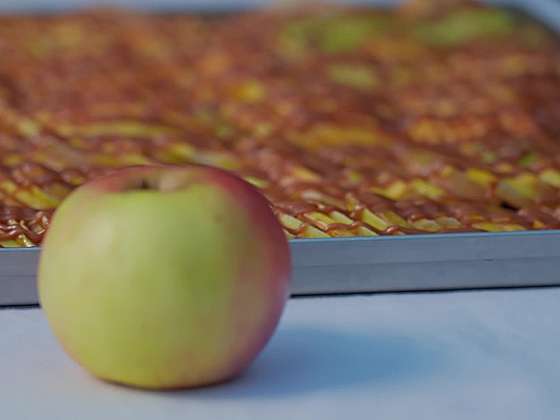 Jablka sušená mrazem