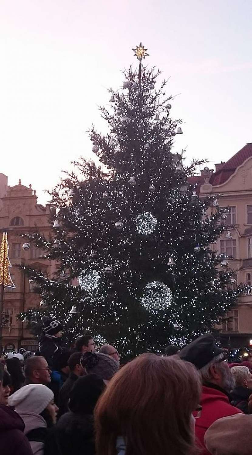 Vánoční trhy Plzeň 2019