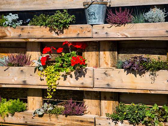 Květinové palety: Trendy zelené stěny v bytě i na terase