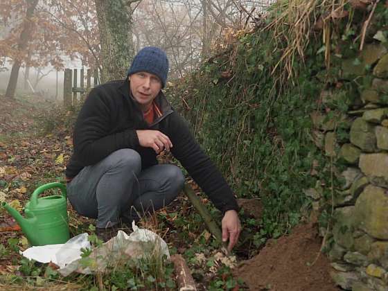 Příprava ovocných stromů a zahrady na zimu