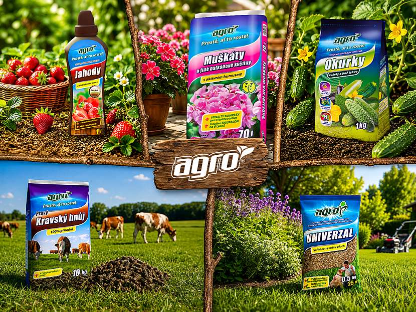 Každý balíček bude obsahovat mix vybraných produktů značky AGRO určených pro pěstování, výživu a péči o rostliny na užitkové i okrasné zahradě